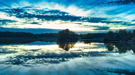 Forest Reflection Lake Trees Sky