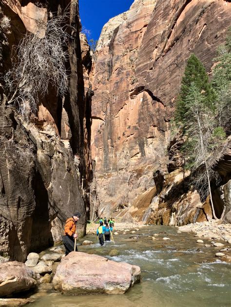 9 Things To Know For The Zion Narrows Hike Travel Guide For Zion