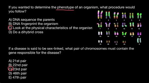 Phenotype Autosomes Vs Sex Chromosomes Youtube
