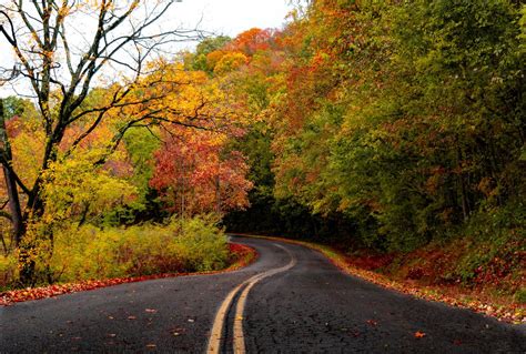 Bruceton Funeral Home