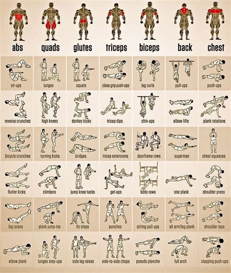 Calisthenics Workout Gym Workout Tips Weight Training Workouts Weights Workout Abs Workout
