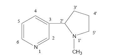 137 nama senyawa yang merupakan isomer posisi dari senyawa hidrokarbon tersebut adalah. KARAKTERISASI SENYAWA ORGANIK BAHAN ALAM PART 1