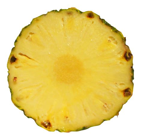 Pineapple Slice Png Image Purepng Free Transparent Cc0 Png Image