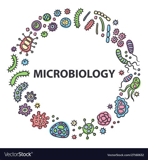 Vector Microbiology Examples - What we now know about microorganisms