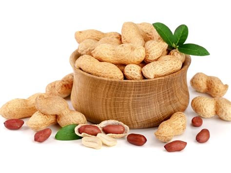 It is caused by the stomach acids pushed up by the spicy food good for pregnancy may only be for few reasons like an appetizer. Peanuts During Pregnancy - To Eat Or To Avoid? | Styles At ...
