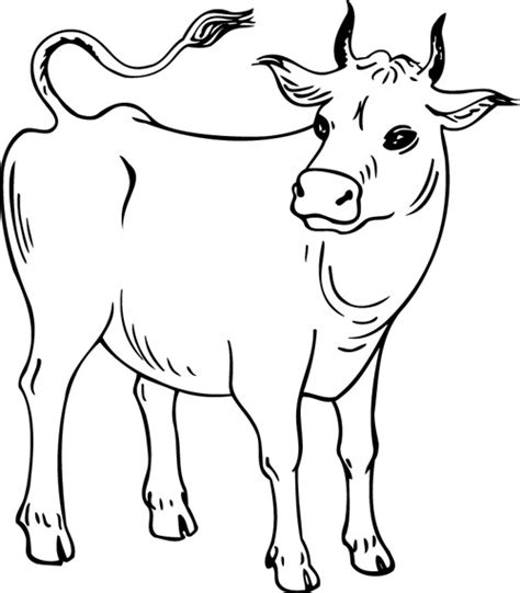Coloriage Vache Maternelle Dessin Gratuit à Imprimer