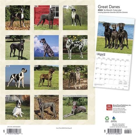 Dog Calendar 2024 2024 Calendar Printable