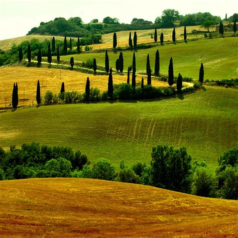 Tuscany Paths Tipical Tuscany Path Among Wondeful Hills Flickr
