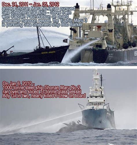 Commercial vessels, converted to submarine chasers. Tsunami-fund "Government of Japan" in Antactica, armed men ...