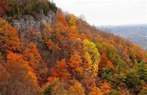 Fall Foliage Map Best Places To See Leaves Changing Color In Upstate