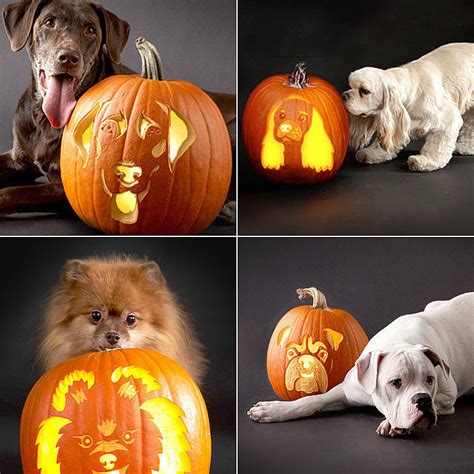 Cut out a lid for your pumpkin. Downloadable Dog Breed Pumpkin Stencils | POPSUGAR Home ...