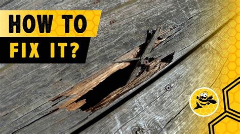 How To Fill Large Holes In Rotted Wood Johnny Counterfit