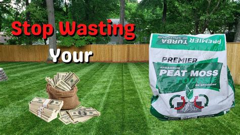 DONT Waste Your Money on Peat Moss For Renovations and Seeding - YouTube