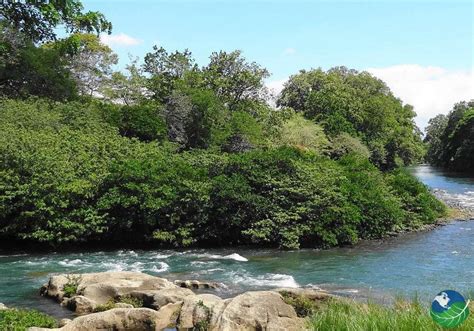 Costa Rican Rivers Sarapiqui River Savegre River And Tenorio River