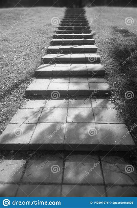 Vertical Black And White Upstairs Park Background Stock Photo Image