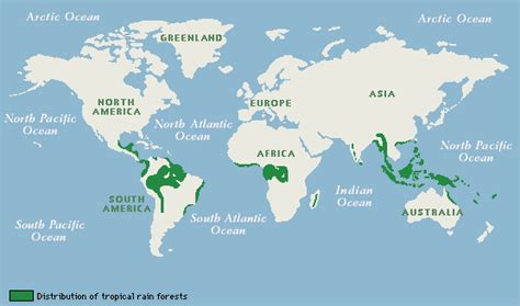 The tropical rainforests are mostly found within 10 degrees north or south of the equator where the temperature is hot all year round and the rainfall can be heavy temperate rainforests are found in areas of heavy rainfall close to the coast. Tropical Rainforest Biome - The Tropical Rainforest