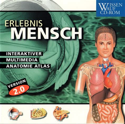 Lymph system des menschen anatomie / lerntext lymphsystem. Anatomie Mensch - Online Version Erlebnis Mensch 2.0