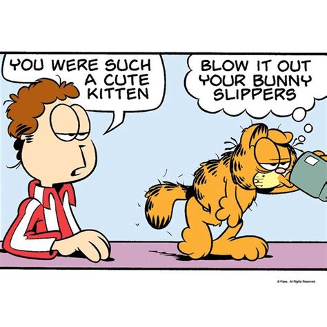 Aging Gracefully Garfield Garfield Comics Garfield Quotes