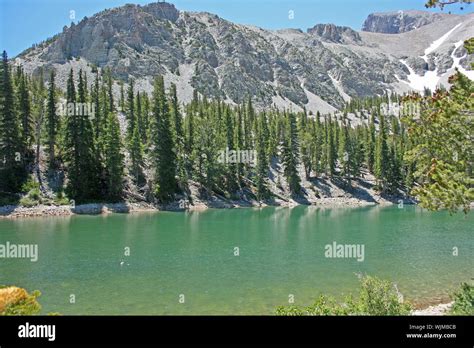 Turquoise Lake Forest And Mountains Nevada Stock Photo Alamy