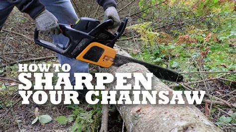 To sharpen them, take a blade in your one hand, and take a sharpening plate or rod in your other hand. How to Sharpen Your Chainsaw - YouTube