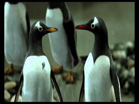 Popper is a house painter whose dreams of arctic exploration prompt him to write letters to real explorers. Mr. Popper's Penguins International Trailer HQ - YouTube
