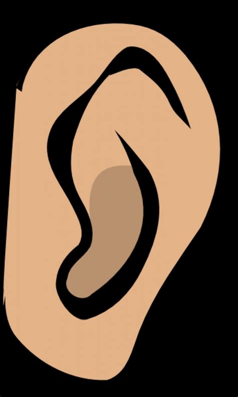 Ears Clipart Images Free Download On Clipartmag