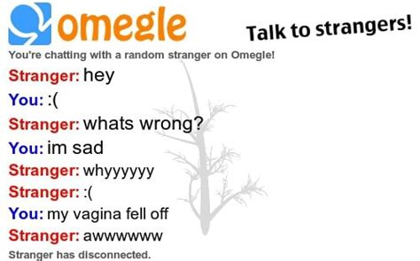 A Omegle Talk To Strangers You Re Chatting With A Random Stranger On Omegle Stranger Hey