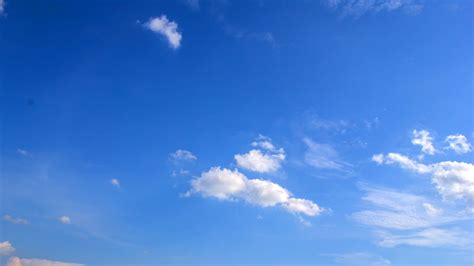 Feeling the Heat: Surviving the Scorching Summers in WABBLES! - WXorNOT