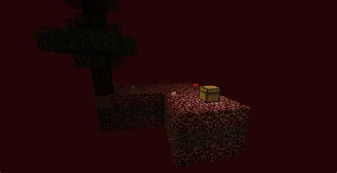 Netblock Skyblock In The Nether Minecraft Project