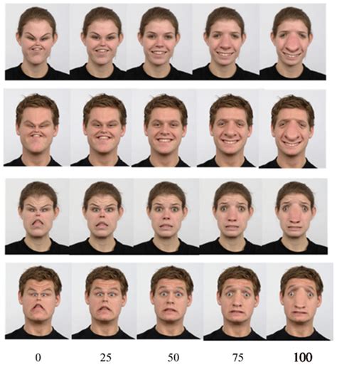 Frontiers Selectivity Of Face Distortion Aftereffects For Differences In Expression Or Gender