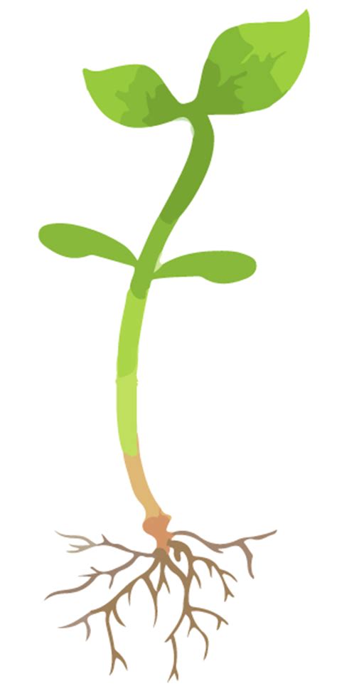 Discover HM.CLAUSE | Clause Home Garden