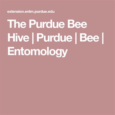 the purdue bee hive purdue bee entomology bee hive bee entomology