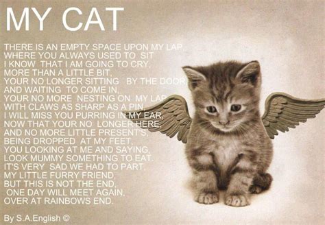 Pet Cat Loss Quotes And Poems Zulema Wayne