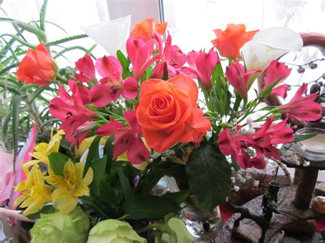 You don't have to spend much to extend the life of your blooms. 5 Handy Tips to Keep Your Cut Flowers Fresh and New ...