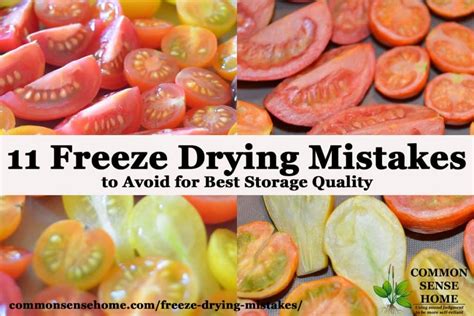 11 Freeze Drying Mistakes To Avoid For Best Storage Quality