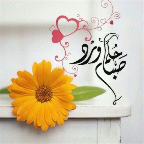 قبل مدة وضع احد المدونين في مدونة حوحو للمعلوميات تدوينة يشرح فيها خدمة جديدة للحصول على بطاقة ماستر كارد وبما أن بعض الزوار تسجلو وحصلوا عليها اتصلت بي. أجمل صور صباحيه منشورات فيس بوك - صور صباح الخير صباح الورد صباح الحب رسائل ومسجات صباحية