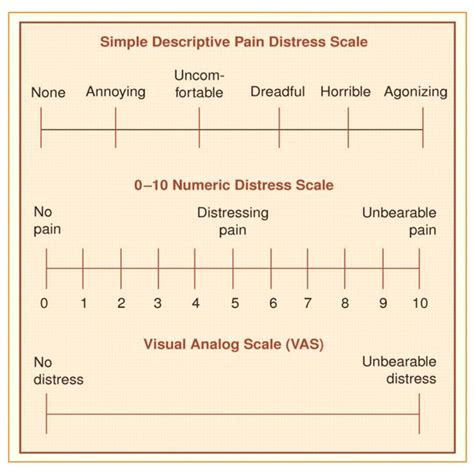 Sample Pain Assessment Scales For Use In The Evaluation Of Pain In The