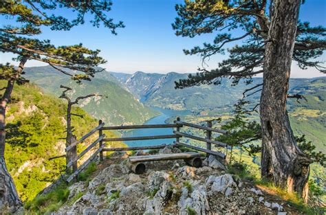 Nacionalni park tara je park sa najviše vidikovaca u srbiji. Srbsko z Bratislavy za 11,98€! - LETENKY ZA BABKU