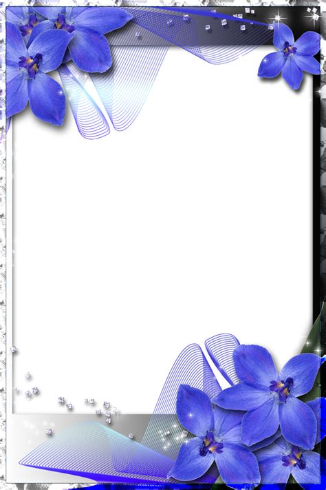 Beautiful Transparent Frame With Blue Orchids Page Borders Design