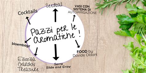 Infine disponete il salmone in una teglia e fate cuocere in forno ben caldo a 180° nella parte media per 10 minuti circa , aprite e distribuite sulla superficie del salmone le erbe aromatiche. I nostri consigli per coltivare e prenderti cura per le ...