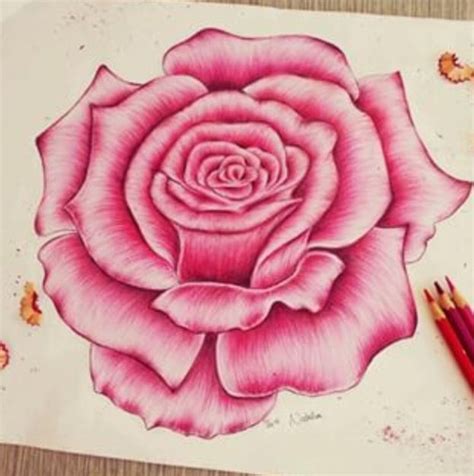 Pinterest Brittesh18 ♡ Flower Art Flower Drawing Colorful Drawings