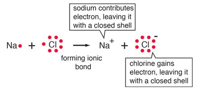 Nacl Lewis Structure : How To Draw The Lewis Structure Of Nacl Sodium ...