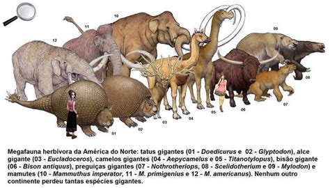 A Picture Of Different Ice Age Beasts Megafauna Prehistoric Animals