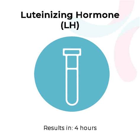 Medical Diagnosis Luteinizing Hormone LH