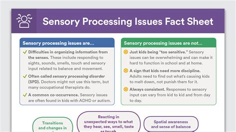 Sensory Processing Issues Fact Sheet Sensory Processing Sensory