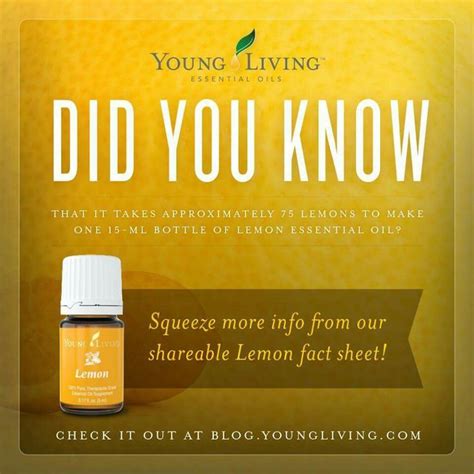 One of our most versatile oils. 67 best images about Lemon Young Living on Pinterest ...
