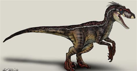 Male Velociraptor Jurassic Park 3