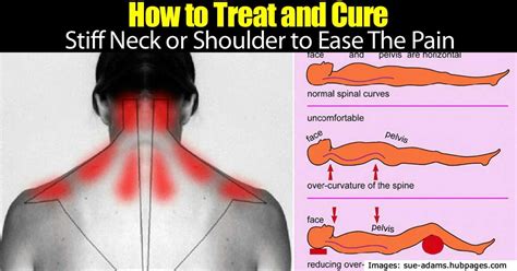It can come from throwing a ball over and over, as you might 10.05.2019 · related posts of diagram of shoulder muscles and tendons human anatomy female reproductive system. How to Treat and Ease The Pain Of A Stiff Neck or Shoulder