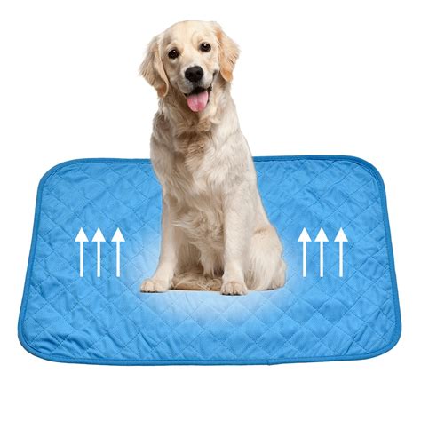Sml New Arrival Pet Cooler Mat Bed Summer Dog Cooling Mat Cushion
