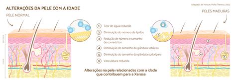 A Energia Solar Não Provoca Danos Ambientais